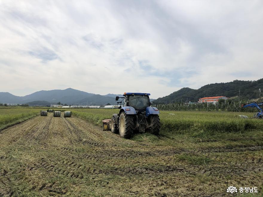 천안시농업기술센터, 사료작물 최적 작부체계 개발 사진