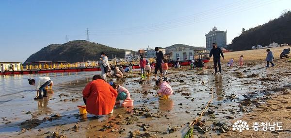 21일 오후 당진 왜목마을해수욕장을 찾은 나들이객들이 갯벌체험을 하고 있다.