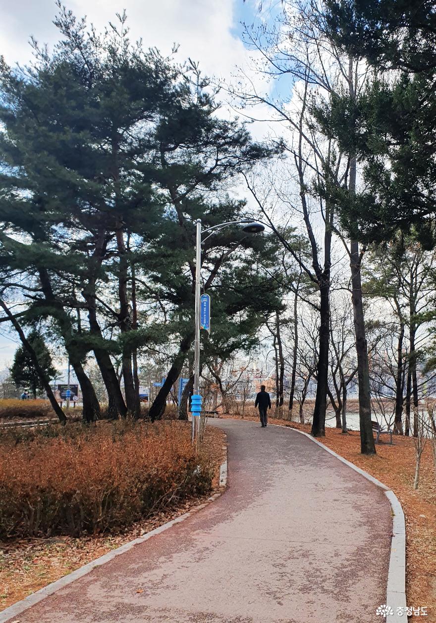 봄이 찾아오는 천안 호수공원 천호지 사진