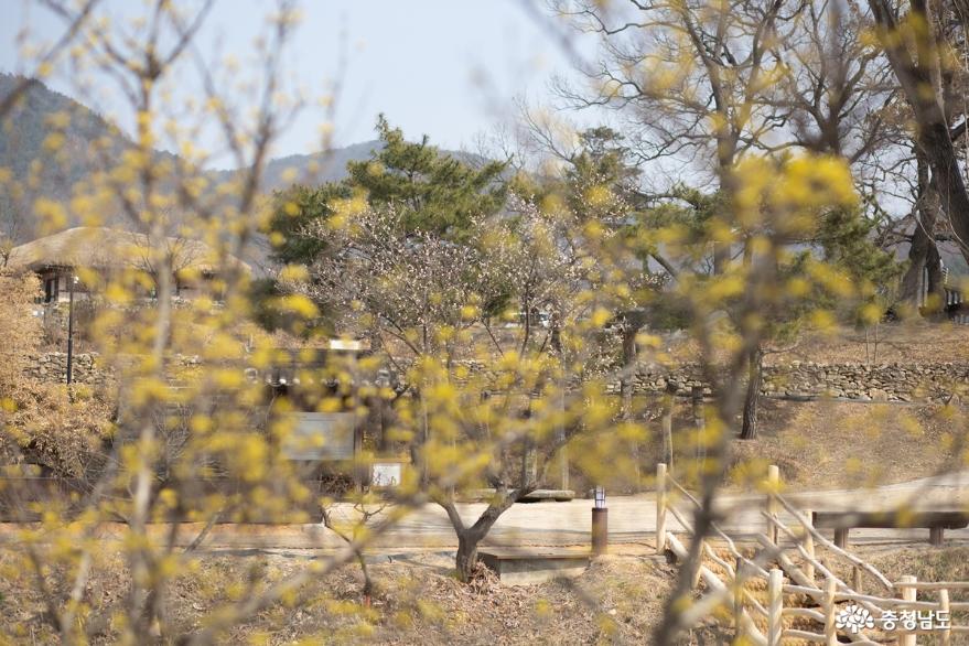 봄이 오는 외암민속마을 사진