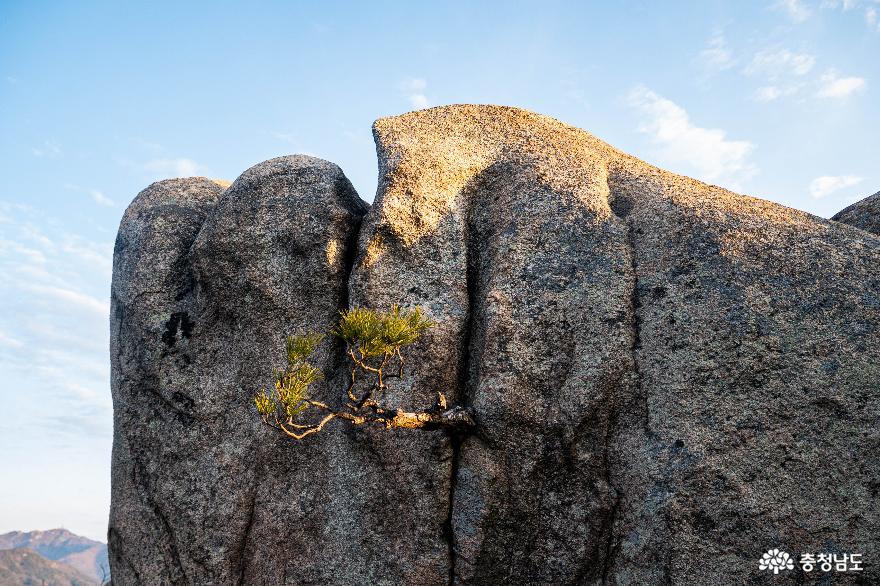 멋진 바위를 오르내리는 스릴이 있는 홍성 용봉산 사진