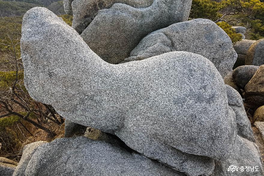 멋진 바위를 오르내리는 스릴이 있는 홍성 용봉산 사진
