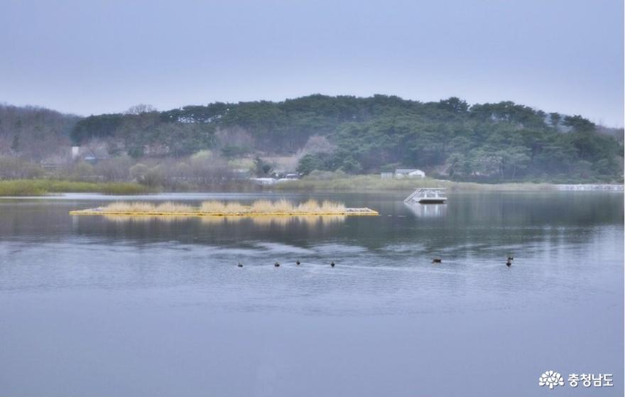 반영이 아름다운 홍성 홍양저수지 둘레길을 산책하다