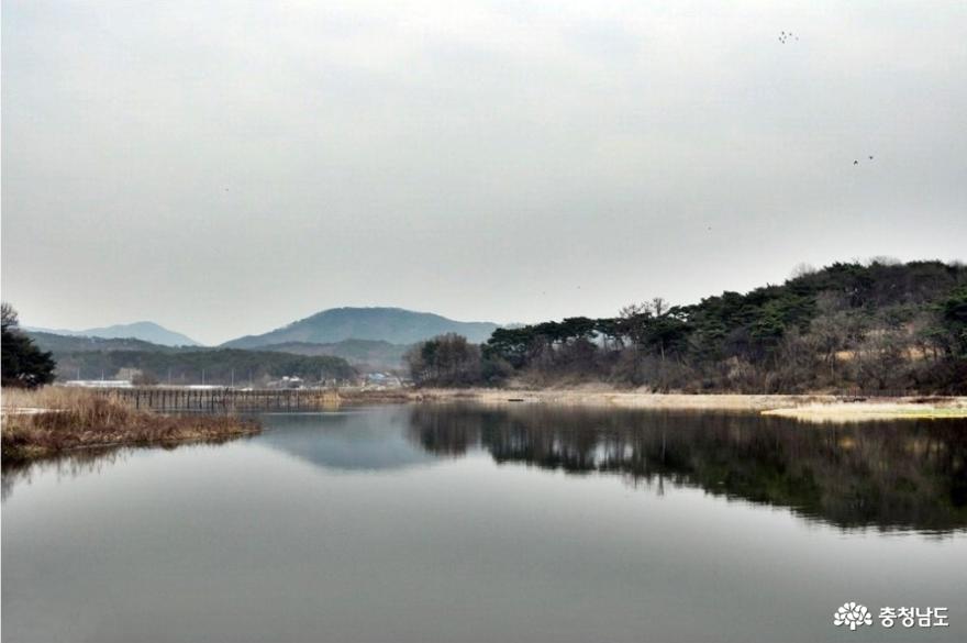 반영이 아름다운 홍성 홍양저수지 둘레길을 산책하다 사진