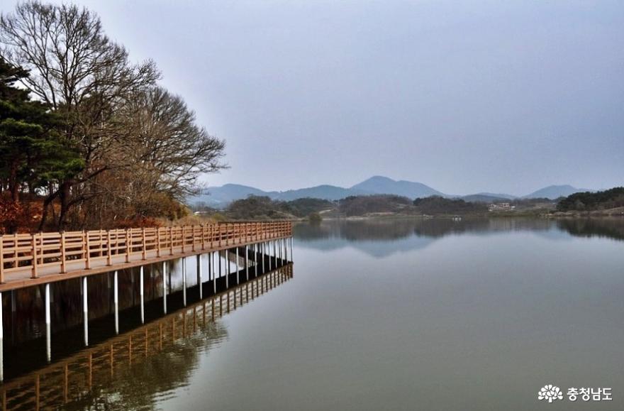 반영이 아름다운 홍성 홍양저수지 둘레길을 산책하다 사진