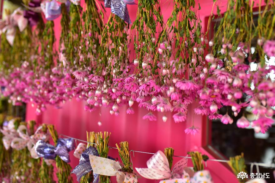 365일 꽃향기 가득한 아산세계꽃식물원 사진