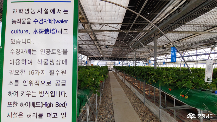 계룡시 농업기술센터 시설 재배