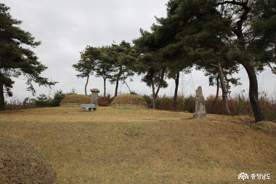 화전별곡을 쓴 자암 김구선생의 묘소를 찾아가보았어요. 사진