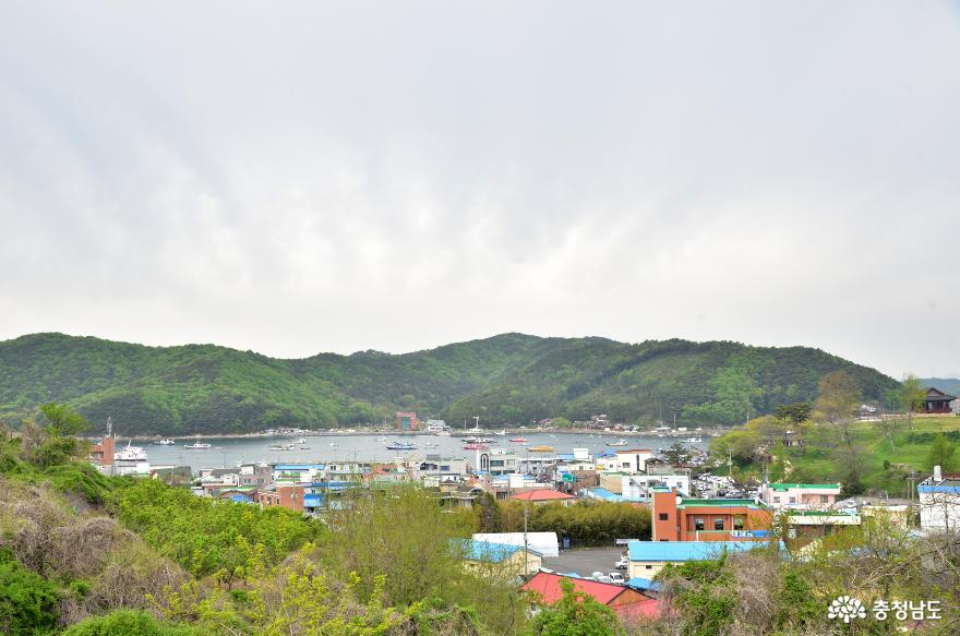 충청수영성 남서치성에서 본 오천항구 주변 모습
