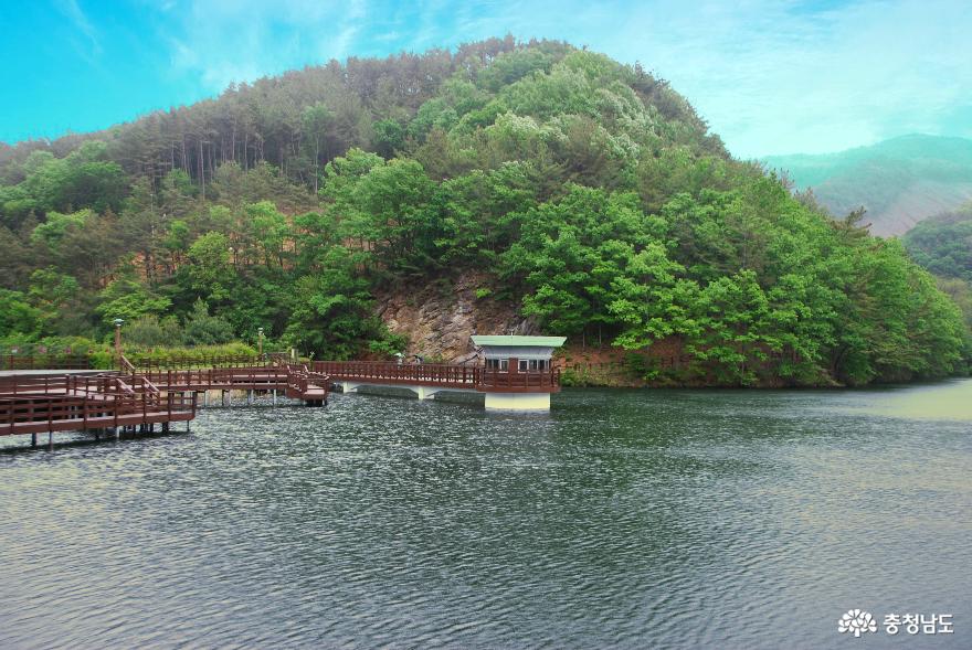 신록으로 새 단장한 '금학생태공원' 사진