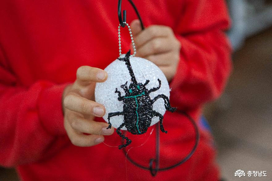 살아있는 곤충을 관찰한 후 3D 펜으로 그려보는 과학체험활동 사진