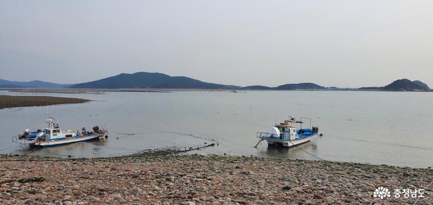 일본 후쿠시마 원전 방사능 오염수 배출을 앞두고 걱정에 빠진 어촌마을에서 어선이 조업을 멈추고 있다.