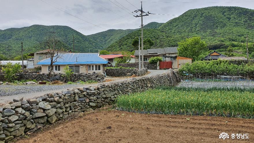 충남에서유일하게돌담길이문화재로지정된반교마을 5