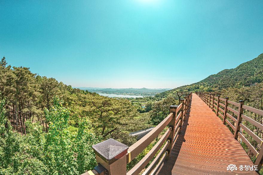 자연속힐링여행하기좋은곳예산봉수산수목원과황새공원 6