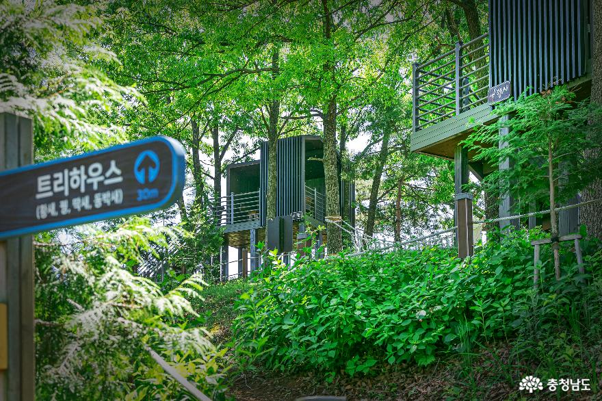 자연속힐링여행하기좋은곳예산봉수산수목원과황새공원 21