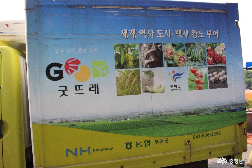 충남관광