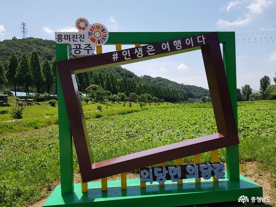 힐링명소정안천생태공원과메타세쿼이아가로수길 7
