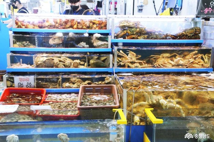 싱싱한 해산물을 저렴히! 천안시농수산물도매시장 수산동에서 킹크랩 FELX! 사진