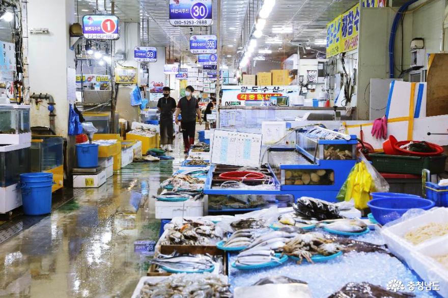 싱싱한 해산물을 저렴히! 천안시농수산물도매시장 수산동에서 킹크랩 FELX! 사진