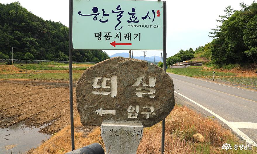 먹거리 - 충청남도