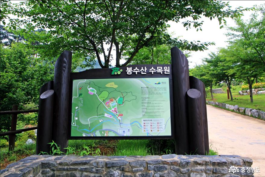 예산여행봉수산자연휴양림수목원 3