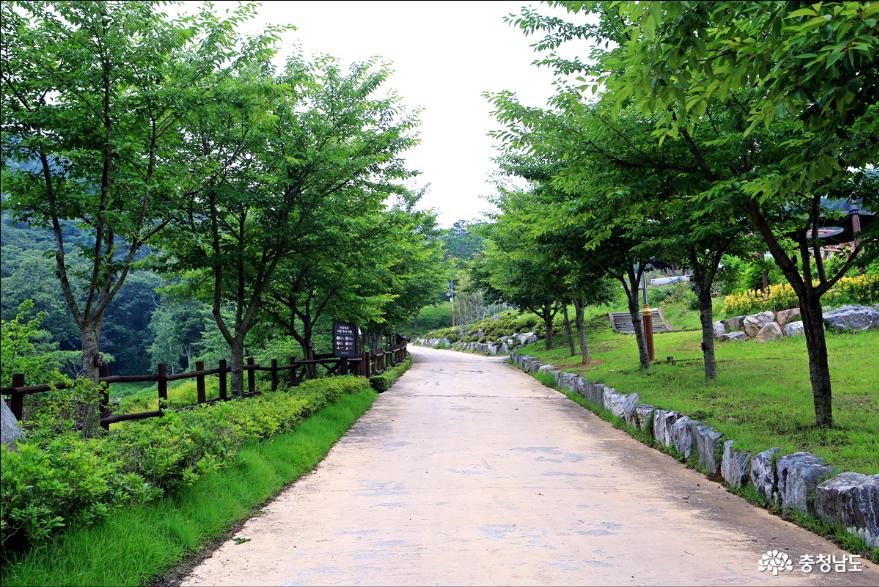 예산여행봉수산자연휴양림수목원 4