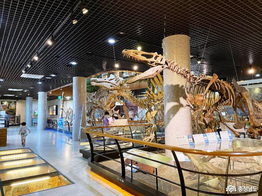 안면도 쥬라기박물관에서 공룡박사가 되어보는 하루 사진