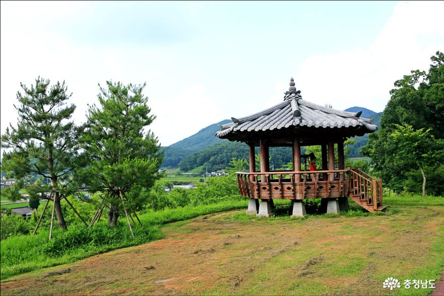 충남 예산여행 한국관광 100선 예산황새공원 사진