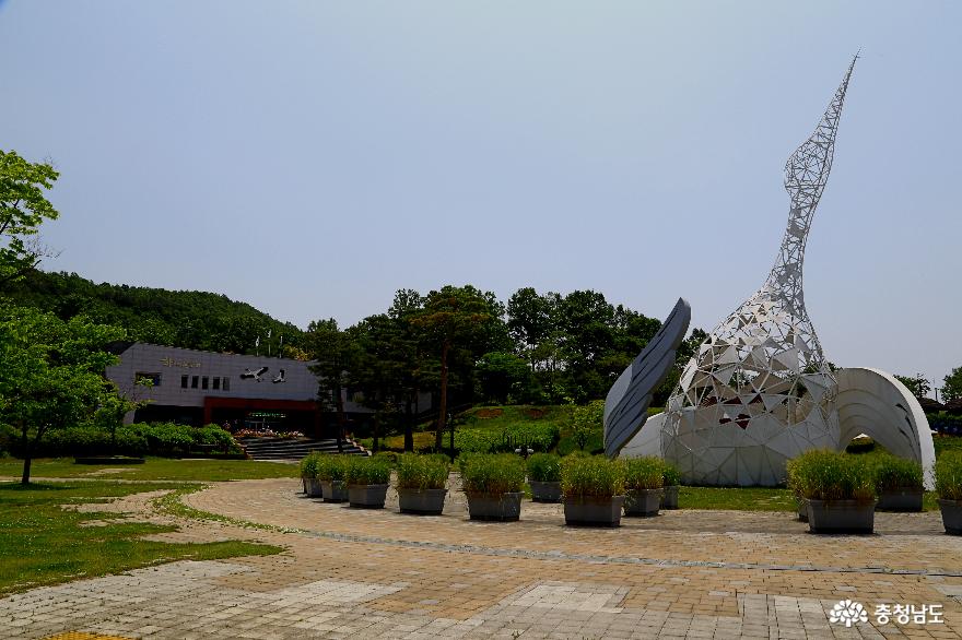 충남 예산 천연기념물 황새가 있는 황새공원 여행