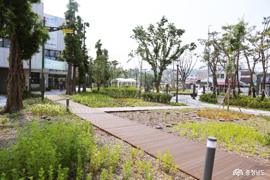 천안 공원 투어 -천안천공원부터 남산근린공원까지 걷기 사진