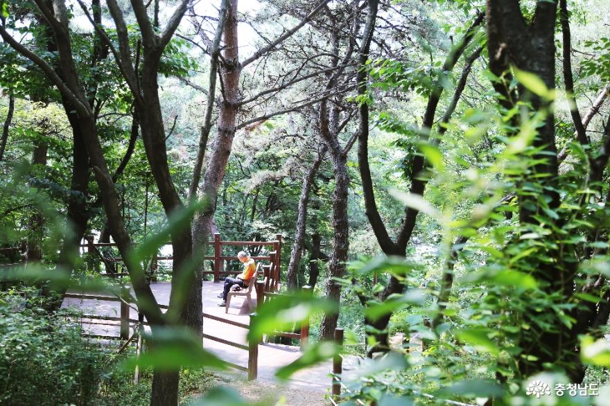 천안공원투어천안천공원부터남산근린공원까지걷기 13