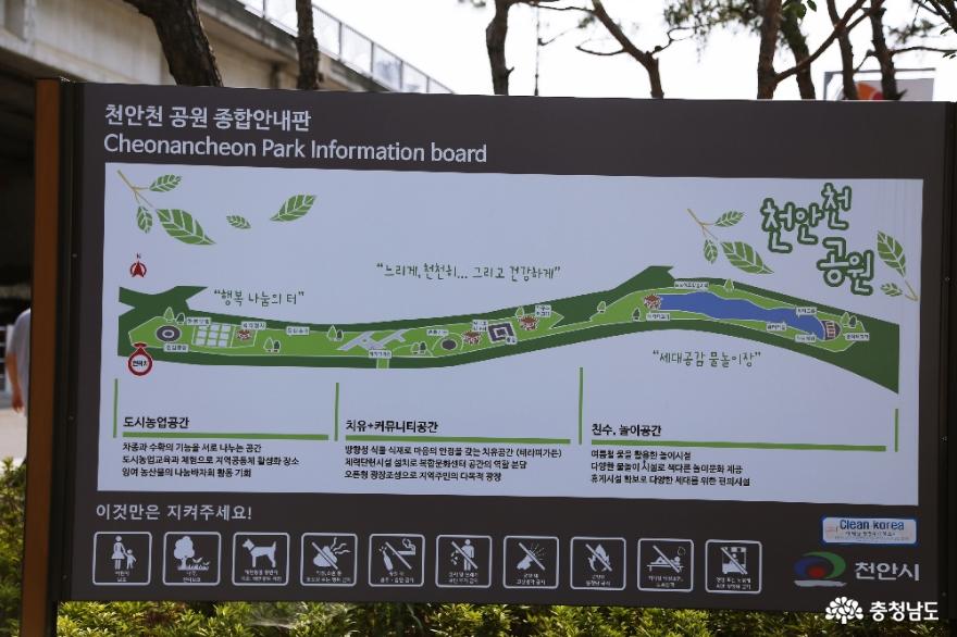 천안공원투어천안천공원부터남산근린공원까지걷기 2
