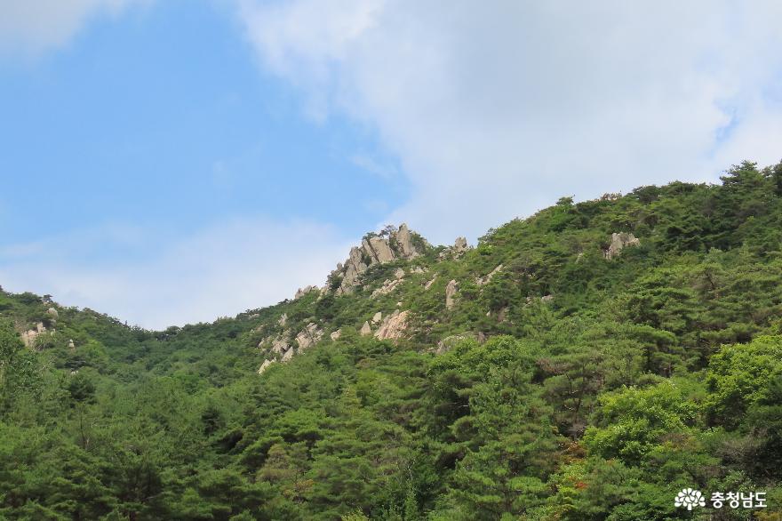 7월숲길여행홍성용봉산자연휴양림산책로 3