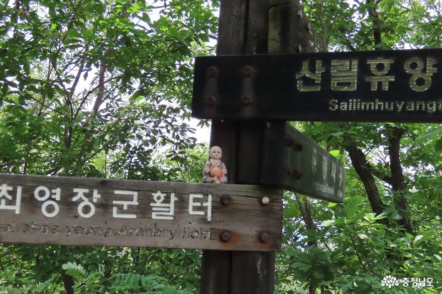 7월숲길여행홍성용봉산자연휴양림산책로 1
