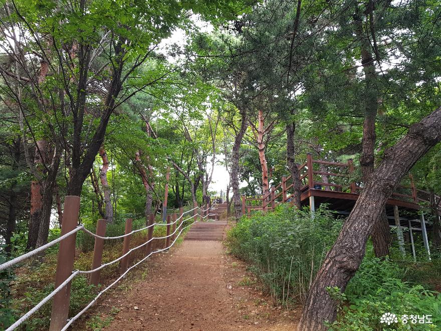 산책하기좋은천안남산근린공원 4