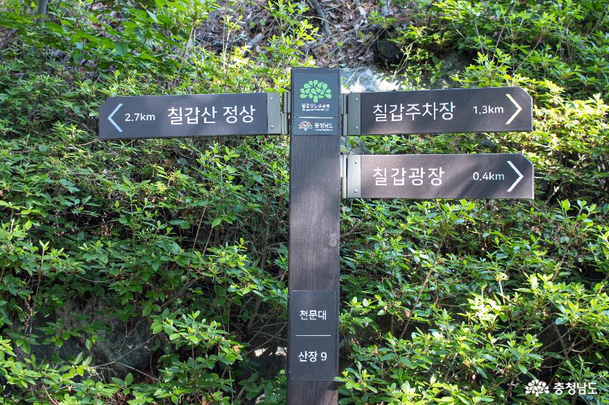 울창한숲길따라산책하며걸을수있는칠갑산산장로 13