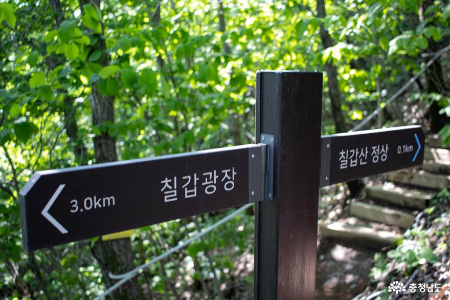 울창한숲길따라산책하며걸을수있는칠갑산산장로 25
