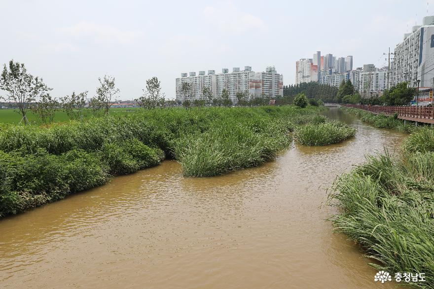최악의 오염하천 ‘익산천’ 자연친화적 생태하천 복원