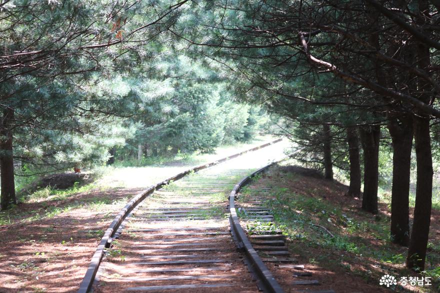 철길이 놓인 독립기념관 밀레니엄 숲을 찾아! 사진