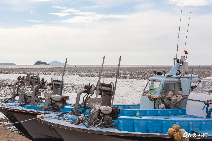 배들이 나란히 정박해 있는 송림항 모습
