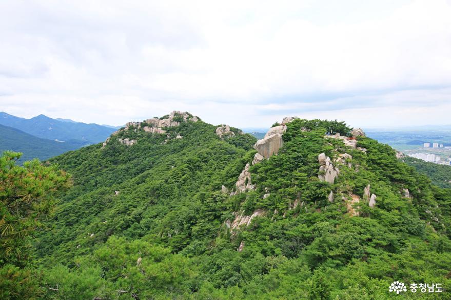 충남 홍성 용봉산 산행 자연휴양림~용봉사 사진