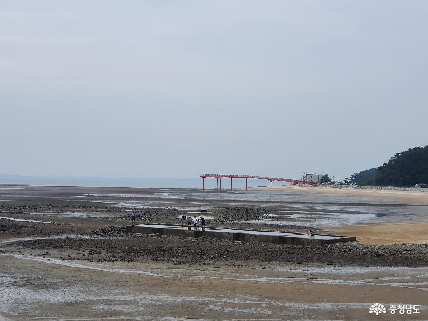 여름 끝자락, 홍성 남당항에서 바라본 풍경 사진