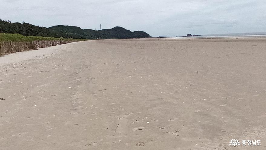 고운 모래가 해변에 즐비하다