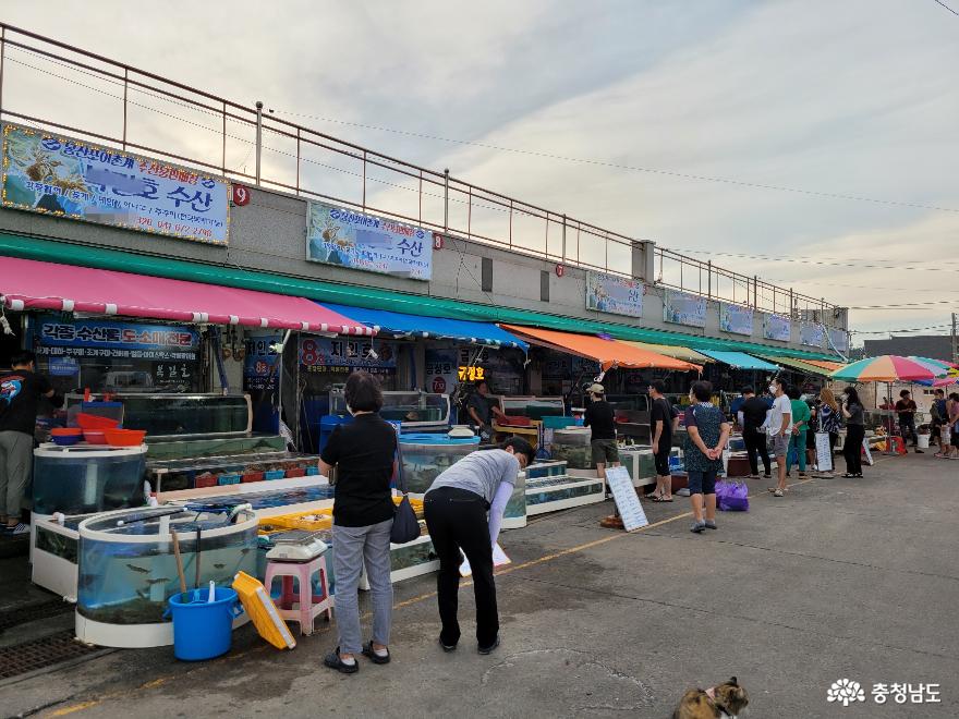 충남관광