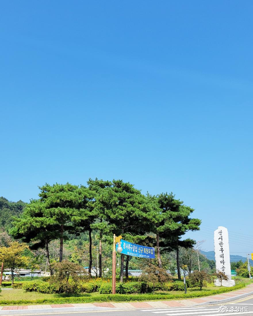 한우 고장 예산군 광시면…광시한우테마공원