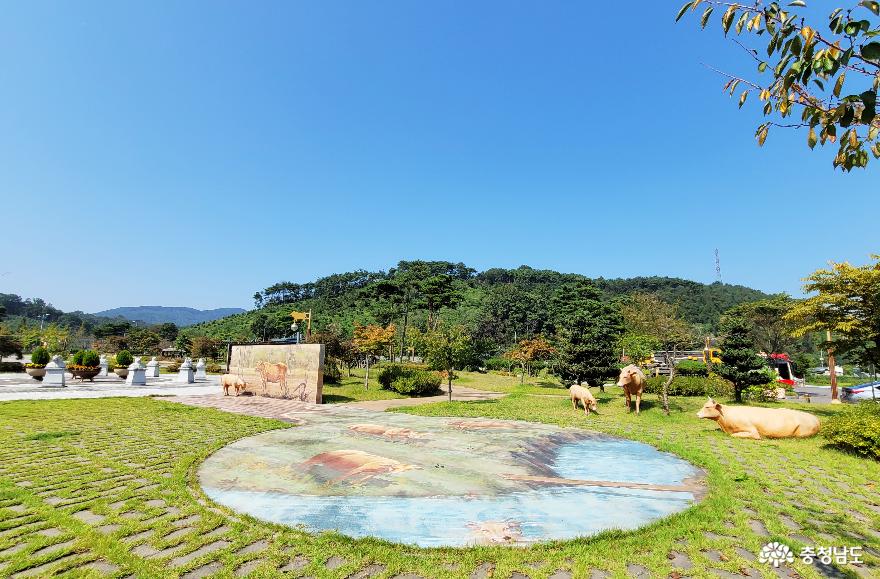 한우고장예산군광시면광시한우테마공원 5