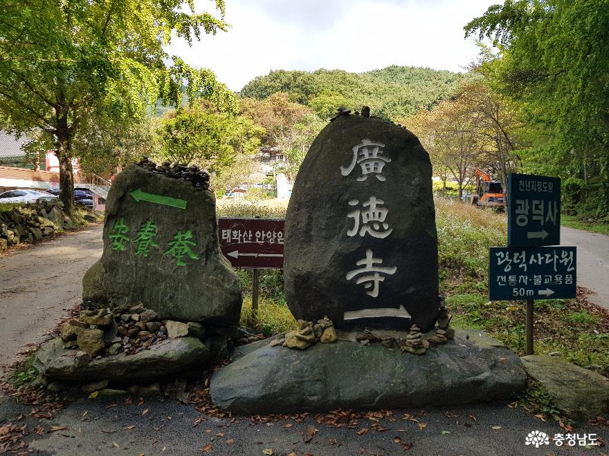  >  > >충남관광