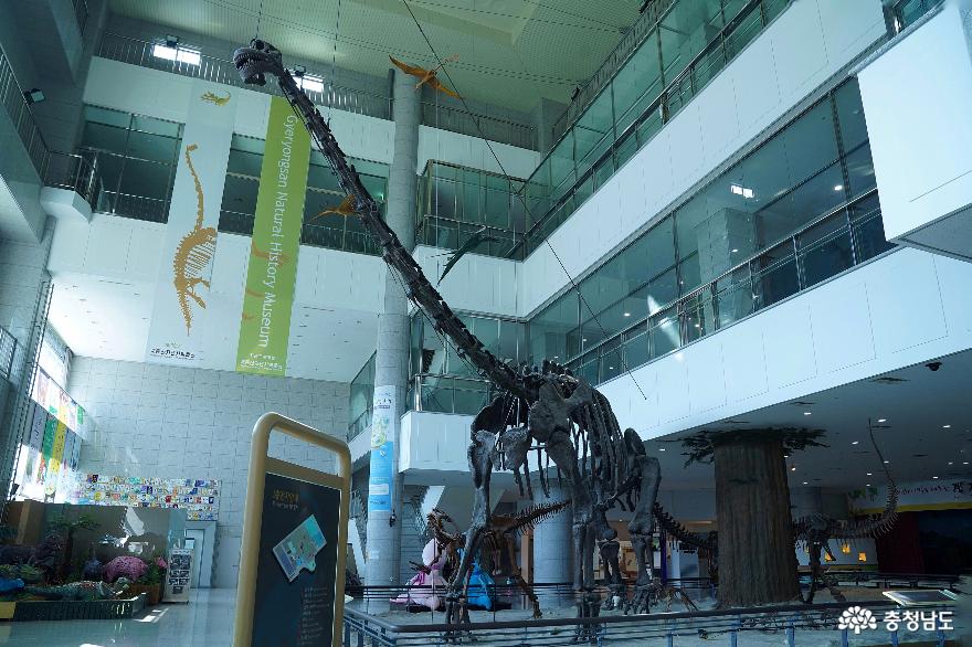 계룡산품에안긴39한국계룡산자연사박물관39가을나들이 2