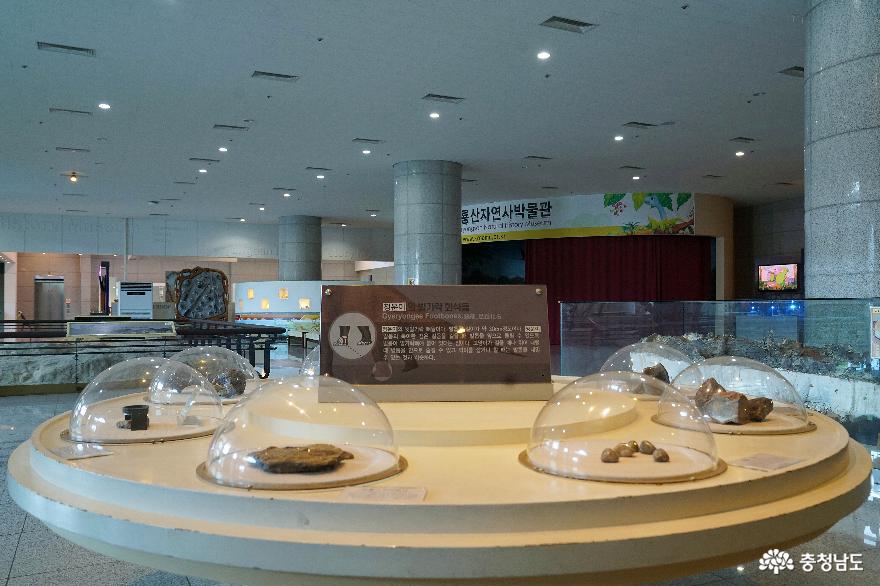 계룡산품에안긴39한국계룡산자연사박물관39가을나들이 4