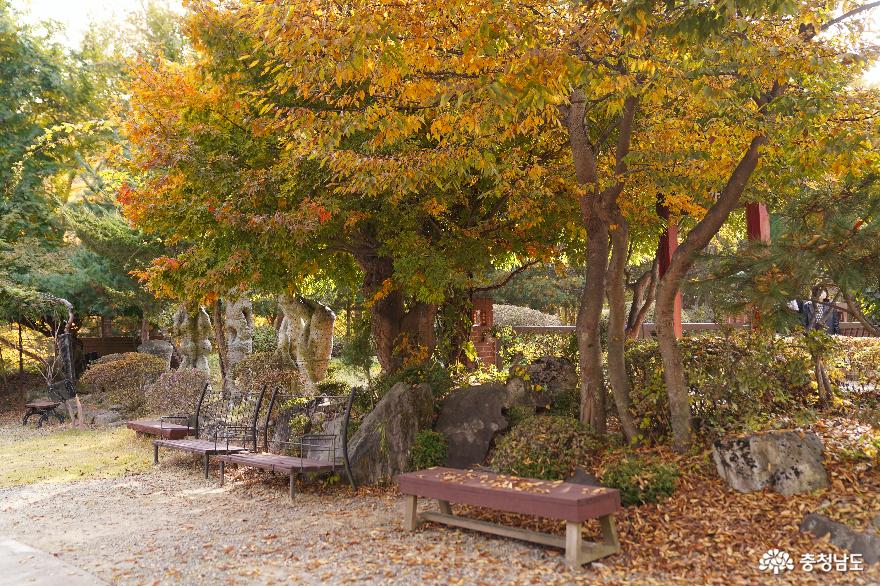색다른 가을을 물들이는 공주국제미술제 풍경 사진